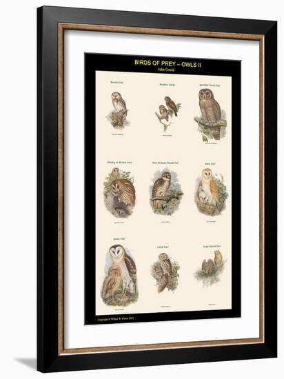 Birds of Prey - Owls - II-John Gould-Framed Art Print