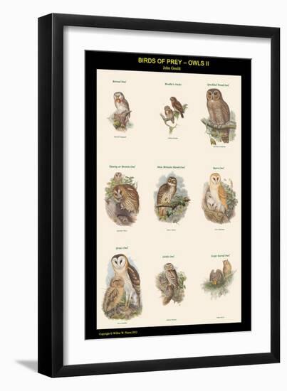 Birds of Prey - Owls - II-John Gould-Framed Art Print