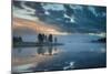 Birds On A Sunrise Flight Over The Yellowstone River In The Hayden Valley-Bryan Jolley-Mounted Photographic Print