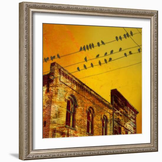 Birds on a Wire I-James McMasters-Framed Art Print