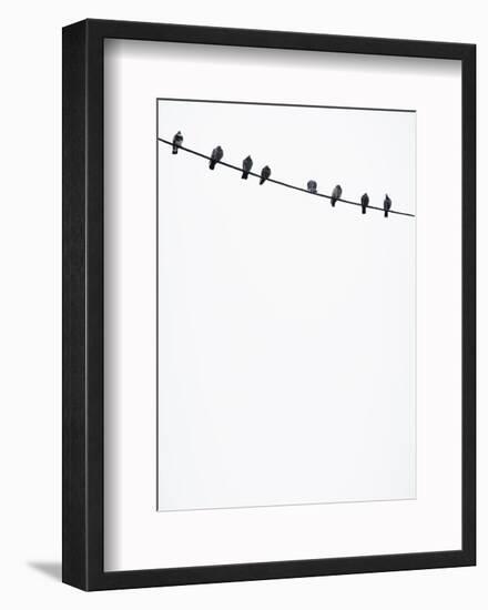 Birds on a Wire-Lars Hallstrom-Framed Photographic Print