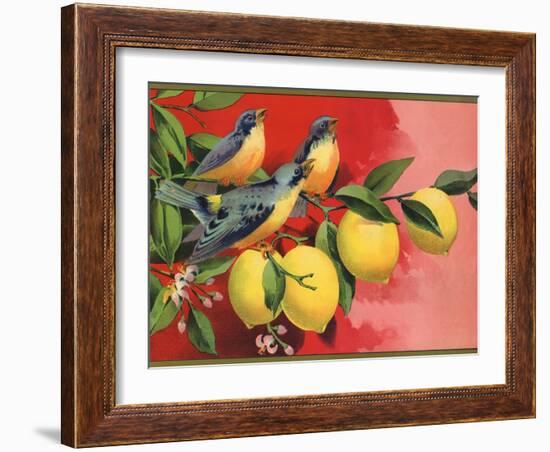 Birds on Lemon Branch - Citrus Crate Label-Lantern Press-Framed Art Print