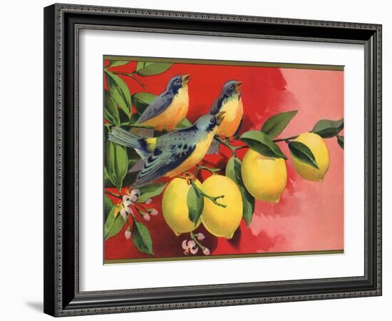 Birds on Lemon Branch - Citrus Crate Label-Lantern Press-Framed Art Print