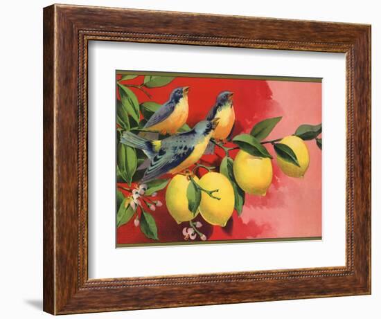 Birds on Lemon Branch - Citrus Crate Label-Lantern Press-Framed Art Print