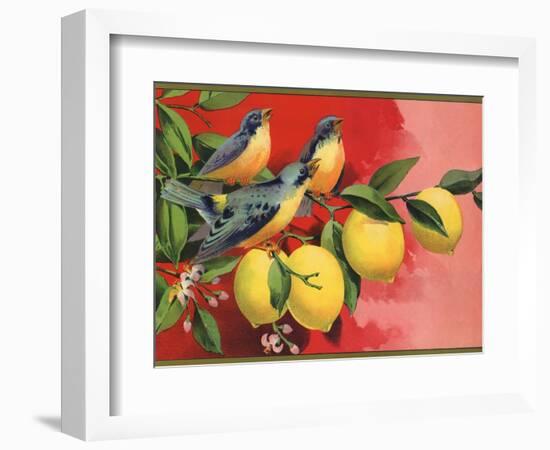 Birds on Lemon Branch - Citrus Crate Label-Lantern Press-Framed Art Print