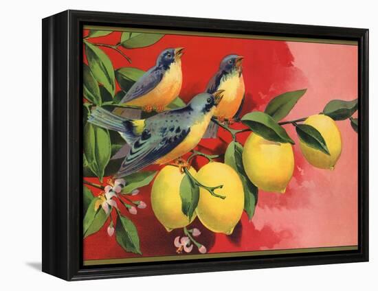 Birds on Lemon Branch - Citrus Crate Label-Lantern Press-Framed Stretched Canvas