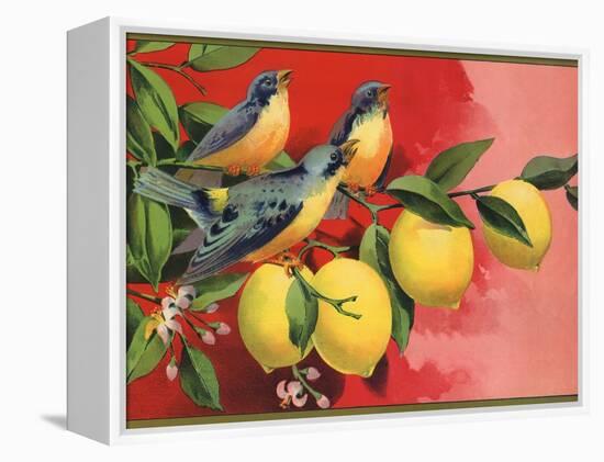 Birds on Lemon Branch - Citrus Crate Label-Lantern Press-Framed Stretched Canvas