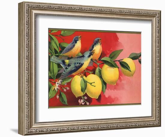 Birds on Lemon Branch - Citrus Crate Label-Lantern Press-Framed Premium Giclee Print