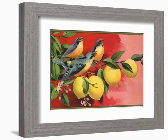 Birds on Lemon Branch - Citrus Crate Label-Lantern Press-Framed Premium Giclee Print