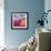 Birds on the Rock 2-Hilke Macintyre-Framed Giclee Print displayed on a wall