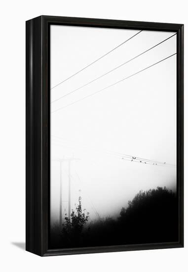 Birds On the Wire-Rory Garforth-Framed Premier Image Canvas