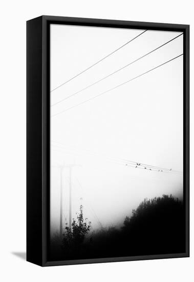 Birds On the Wire-Rory Garforth-Framed Premier Image Canvas