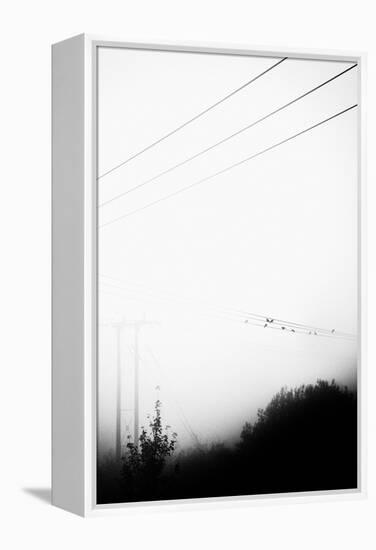 Birds On the Wire-Rory Garforth-Framed Premier Image Canvas