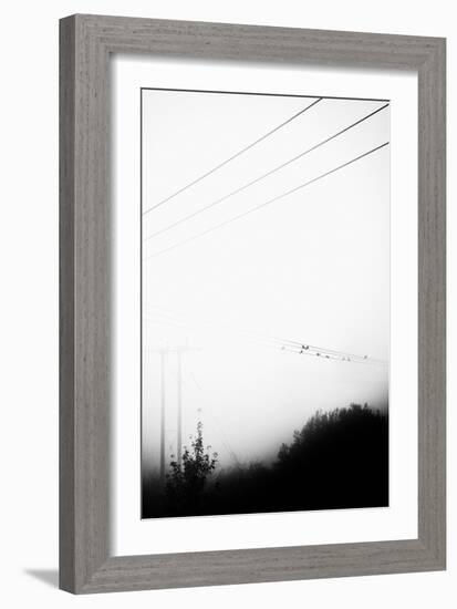 Birds On the Wire-Rory Garforth-Framed Photographic Print