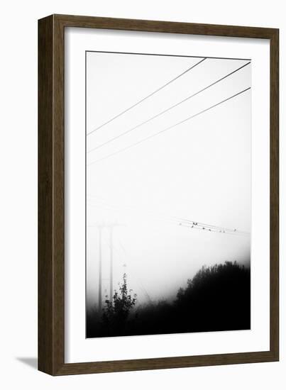 Birds On the Wire-Rory Garforth-Framed Photographic Print