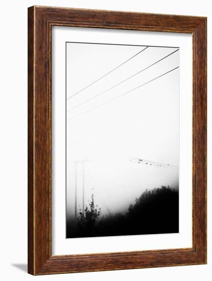 Birds On the Wire-Rory Garforth-Framed Photographic Print