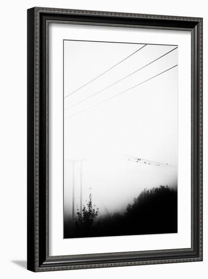 Birds On the Wire-Rory Garforth-Framed Photographic Print