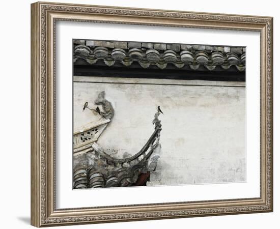 Birds on tiled roof in Xidi, China-Yang Liu-Framed Photographic Print