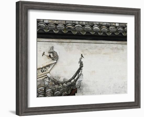 Birds on tiled roof in Xidi, China-Yang Liu-Framed Photographic Print