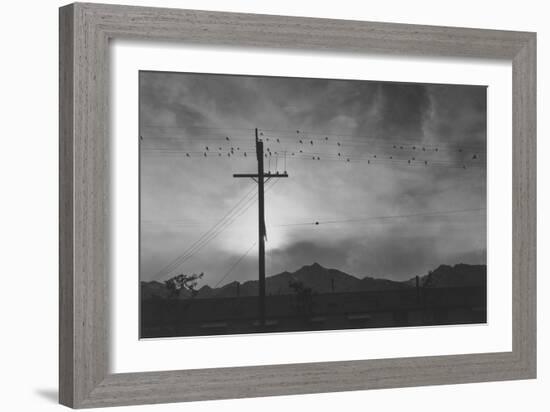 Birds on Wire, Evening-Ansel Adams-Framed Art Print