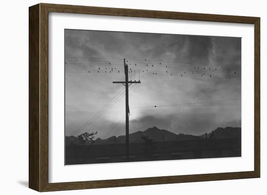 Birds on Wire, Evening-Ansel Adams-Framed Art Print