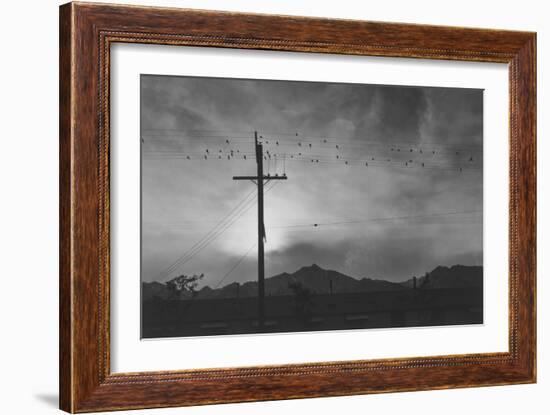 Birds on Wire, Evening-Ansel Adams-Framed Art Print