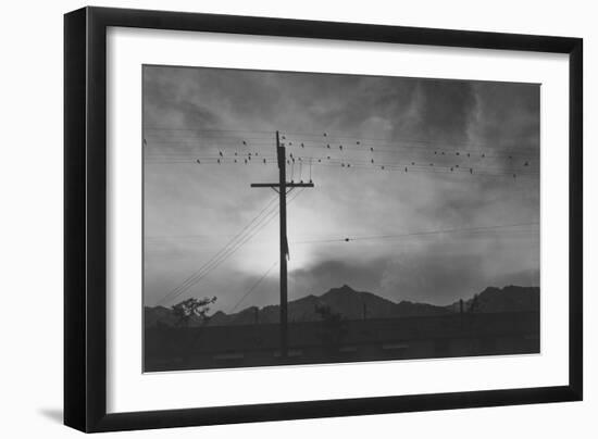Birds on Wire, Evening-Ansel Adams-Framed Art Print