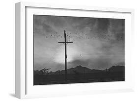 Birds on Wire, Evening-Ansel Adams-Framed Art Print