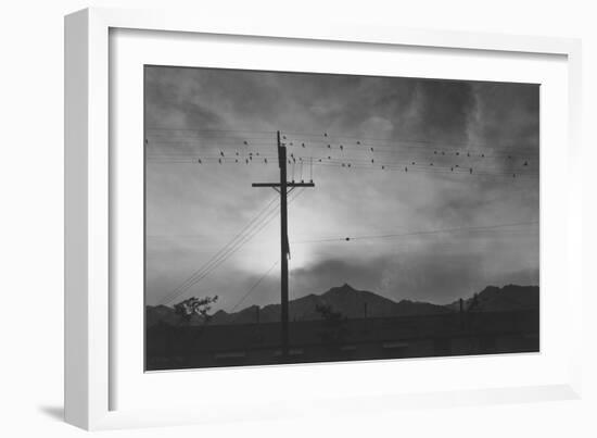 Birds on Wire, Evening-Ansel Adams-Framed Premium Giclee Print