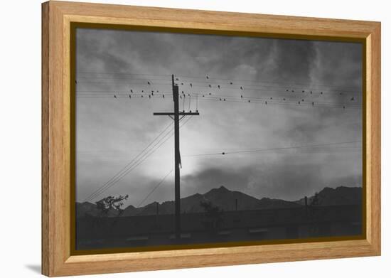 Birds on Wire, Evening-Ansel Adams-Framed Stretched Canvas