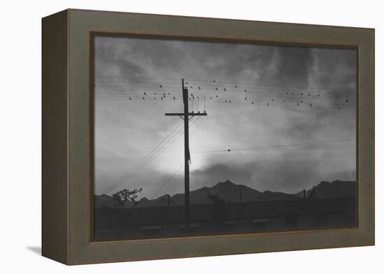 Birds on Wire, Evening-Ansel Adams-Framed Stretched Canvas