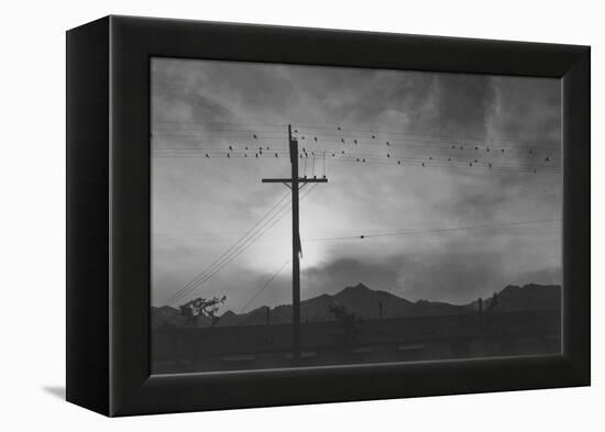 Birds on Wire, Evening-Ansel Adams-Framed Stretched Canvas