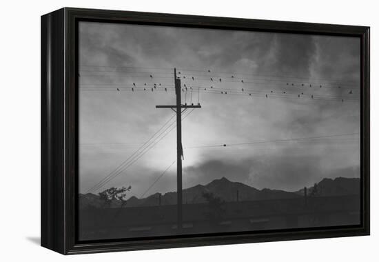 Birds on Wire, Evening-Ansel Adams-Framed Stretched Canvas