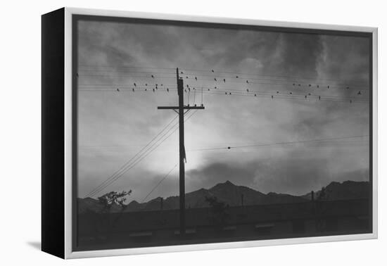 Birds on Wire, Evening-Ansel Adams-Framed Stretched Canvas