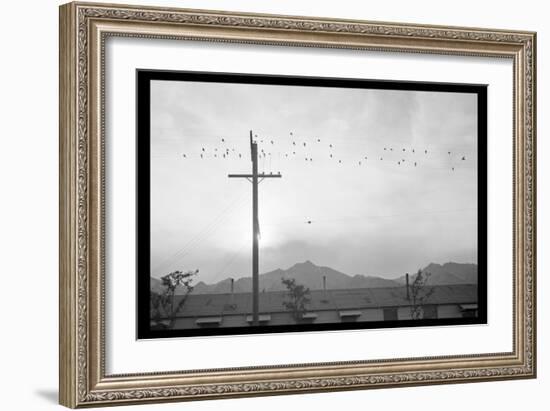 Birds on Wire-Ansel Adams-Framed Art Print