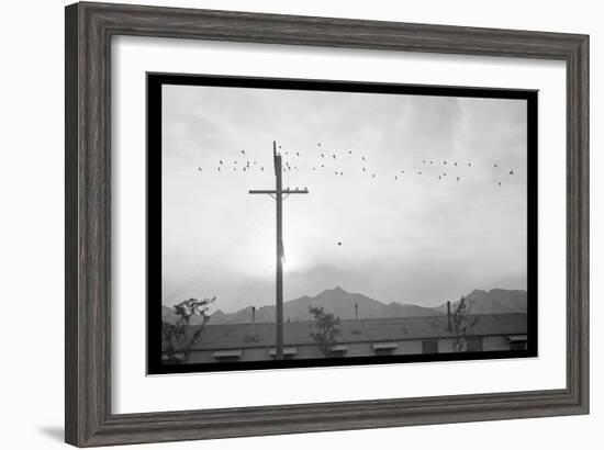 Birds on Wire-Ansel Adams-Framed Art Print