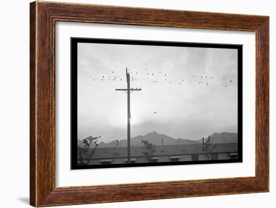 Birds on Wire-Ansel Adams-Framed Art Print