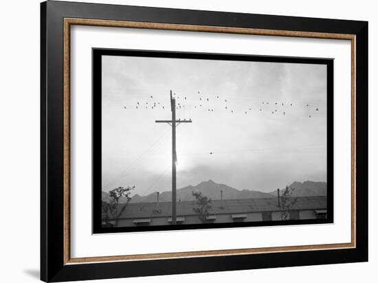 Birds on Wire-Ansel Adams-Framed Art Print