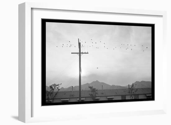 Birds on Wire-Ansel Adams-Framed Art Print