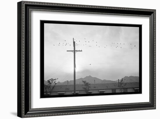 Birds on Wire-Ansel Adams-Framed Art Print