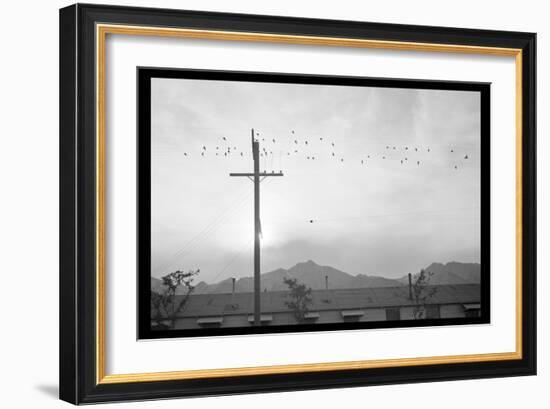 Birds on Wire-Ansel Adams-Framed Art Print