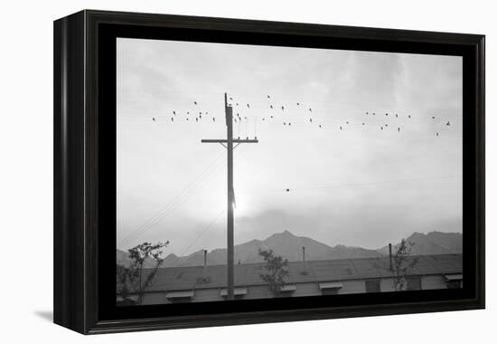 Birds on Wire-Ansel Adams-Framed Stretched Canvas