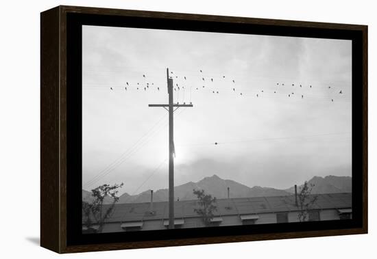 Birds on Wire-Ansel Adams-Framed Stretched Canvas