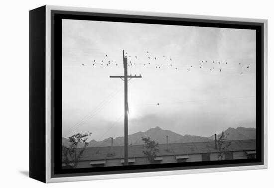 Birds on Wire-Ansel Adams-Framed Stretched Canvas