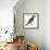 Birds: Passeriformes, Great Bowerbird, (Chlamydera Nuchalis)-null-Framed Giclee Print displayed on a wall