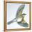 Birds: Passeriformes, Song Thrush (Turdus Philomelos)-null-Framed Premier Image Canvas