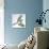 Birds: Passeriformes, Song Thrush (Turdus Philomelos)-null-Framed Premier Image Canvas displayed on a wall