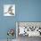 Birds: Passeriformes, Song Thrush (Turdus Philomelos)-null-Framed Premier Image Canvas displayed on a wall