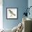 Birds: Passeriformes, White-Browed Sparrow-Weaver (Plocepasser Mahali)-null-Framed Giclee Print displayed on a wall