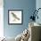 Birds: Passeriformes, White-Browed Sparrow-Weaver (Plocepasser Mahali)-null-Framed Giclee Print displayed on a wall